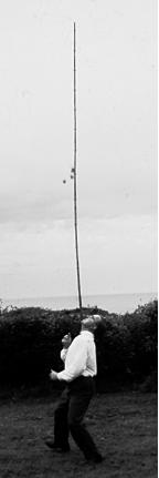 Balancing a pole